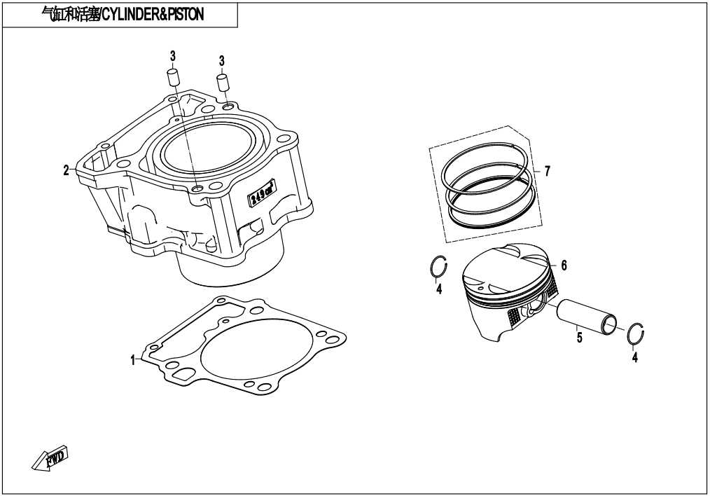 CYLINDER & PISTON
