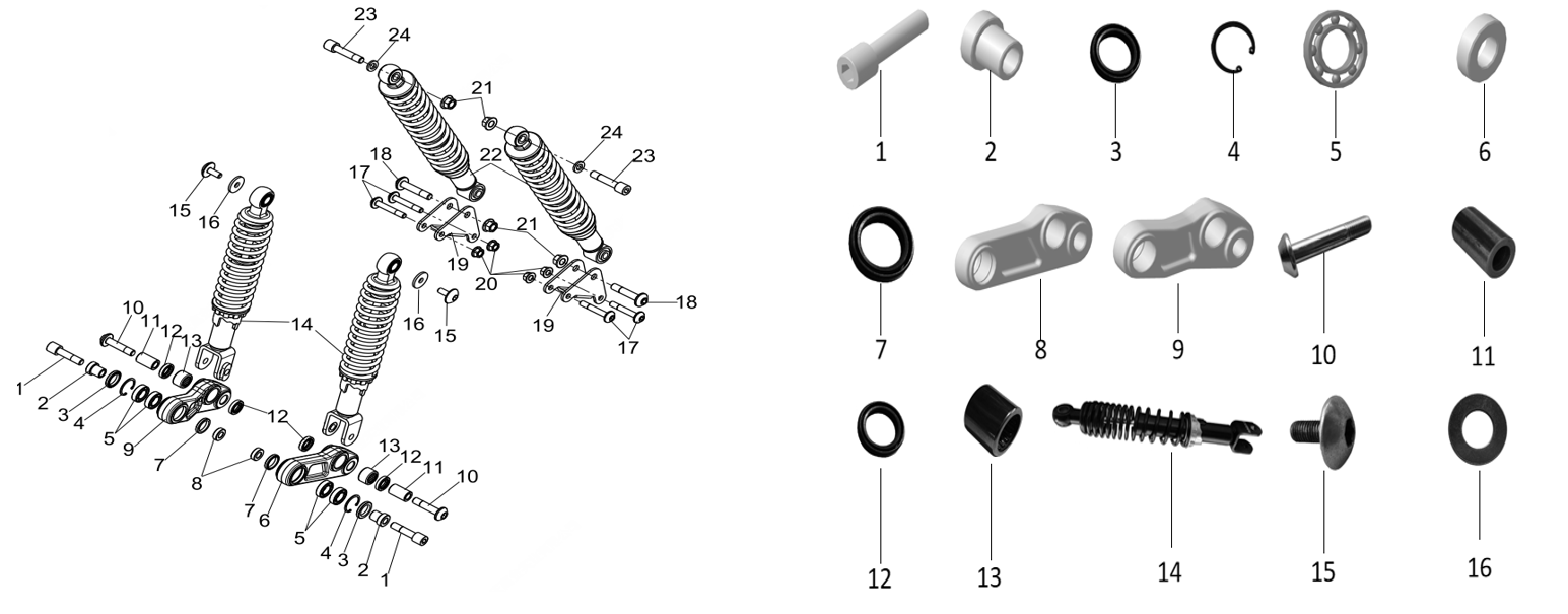 F20 SUSPENSION