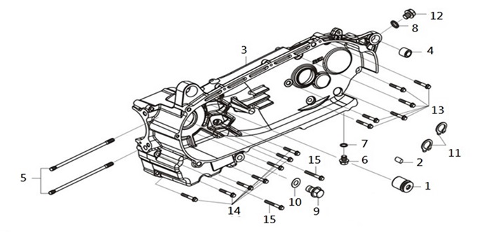 Left Crank Case