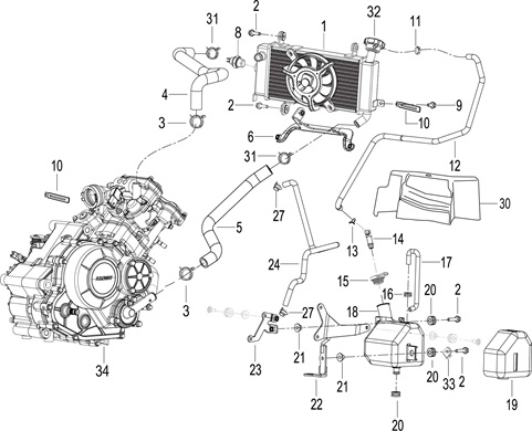 Radiator Assy