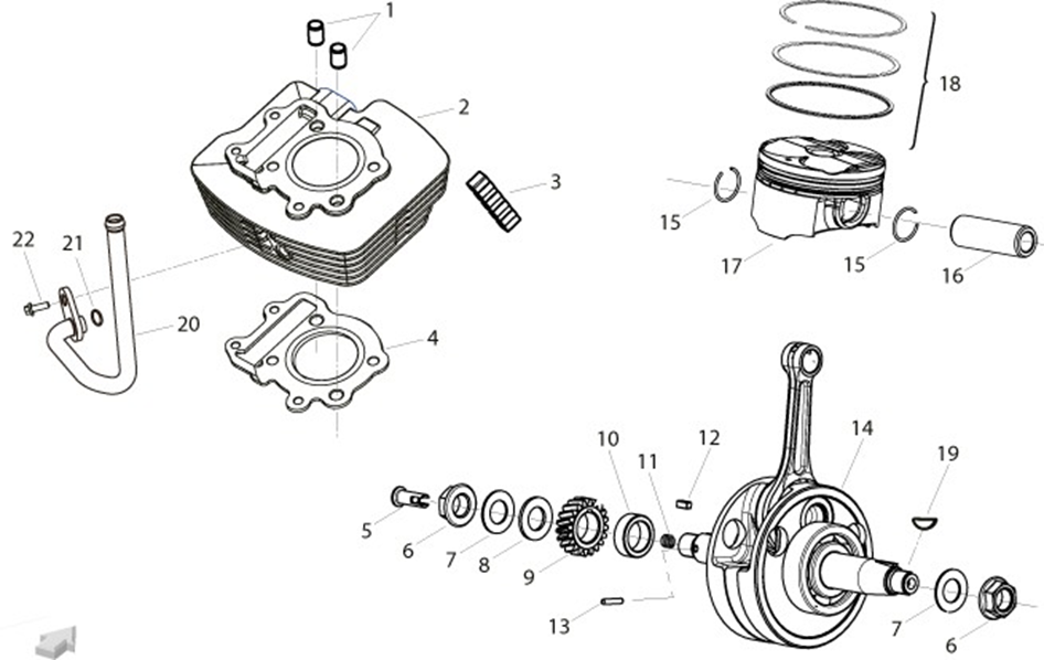 Crankshaft Gear Assembly