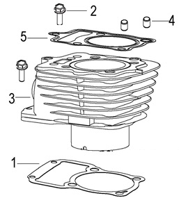 Cylinder Assy