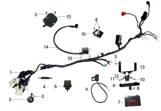 Wire Harness