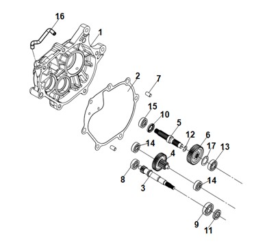 Drive Shaft