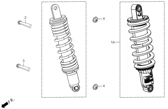 F19 PRO - Rear Shock Absorbers