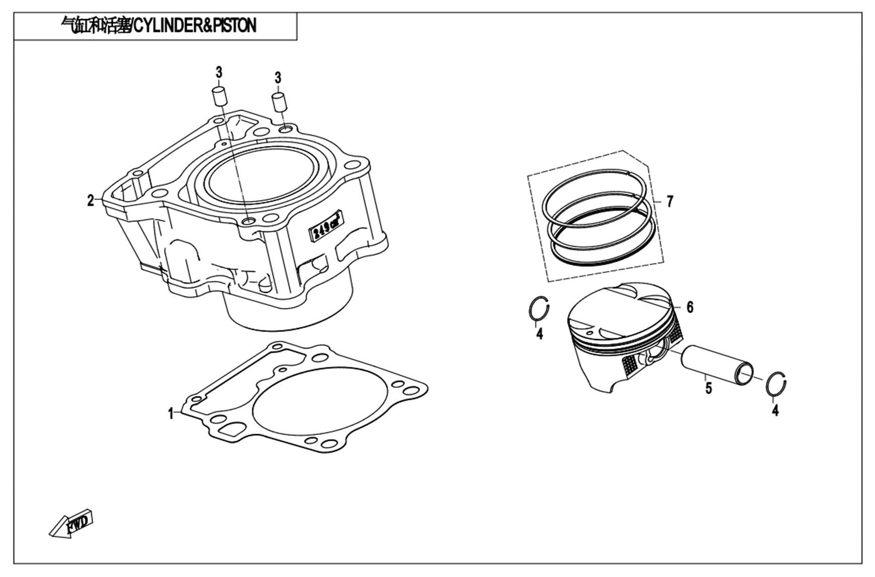CYLINDER & PISTON