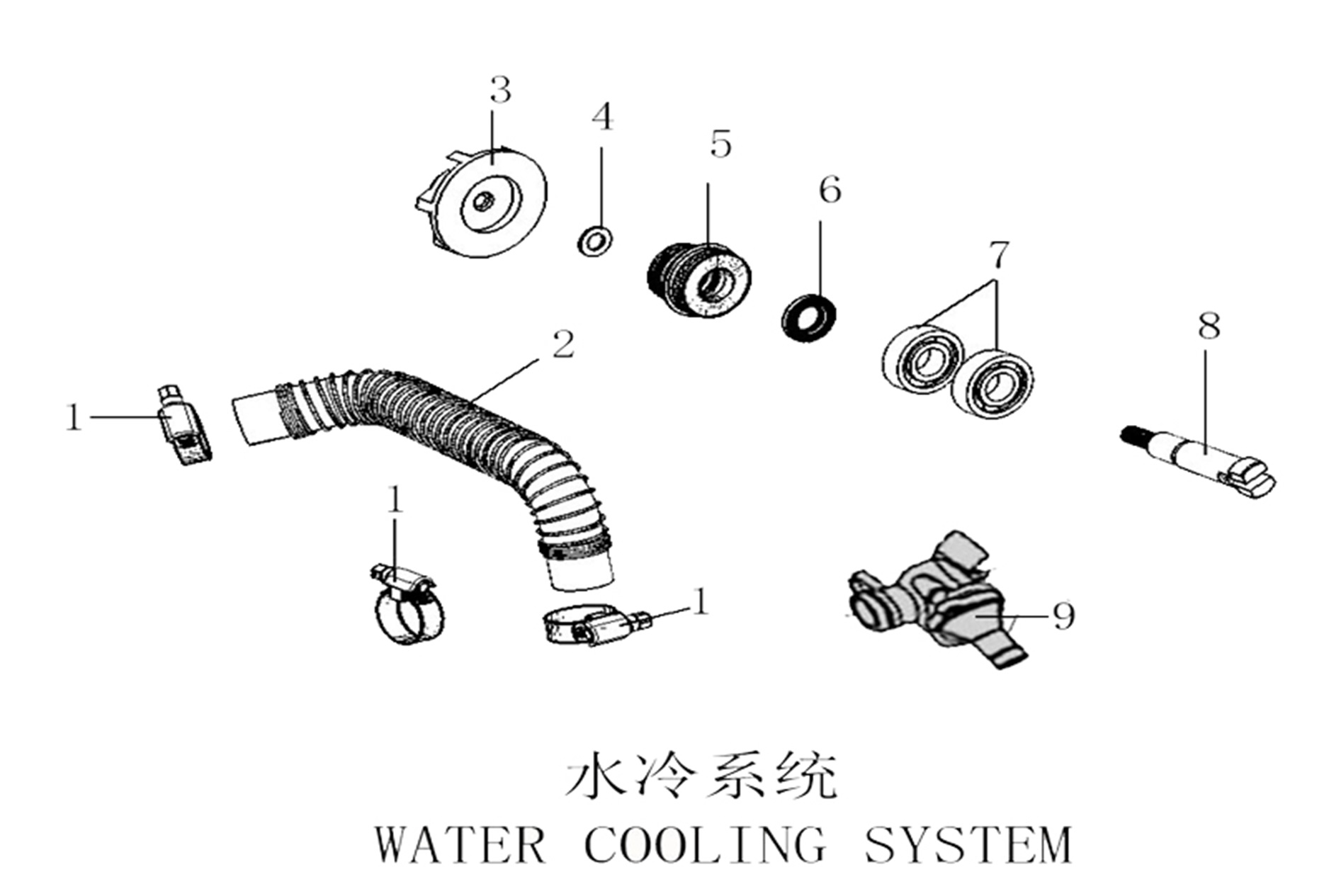 Water Pump