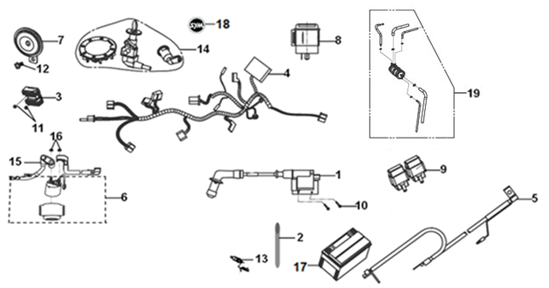 F21 - Wire Harness