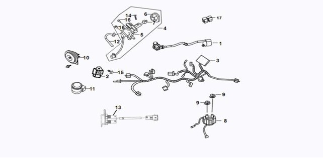 Wiring Harness