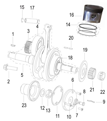 Crankshaft Assy