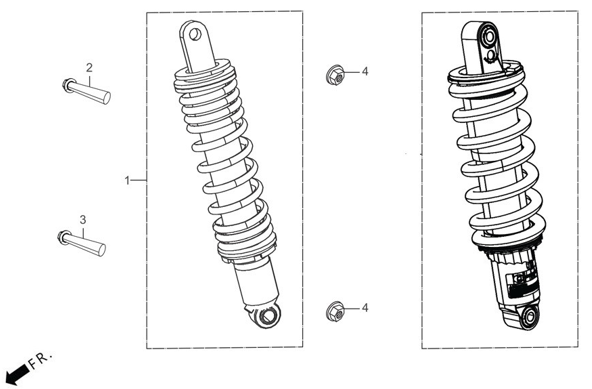 F19 BASE - Rear Shock Absorbers