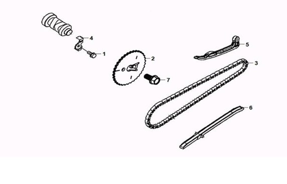 Cam Shaft