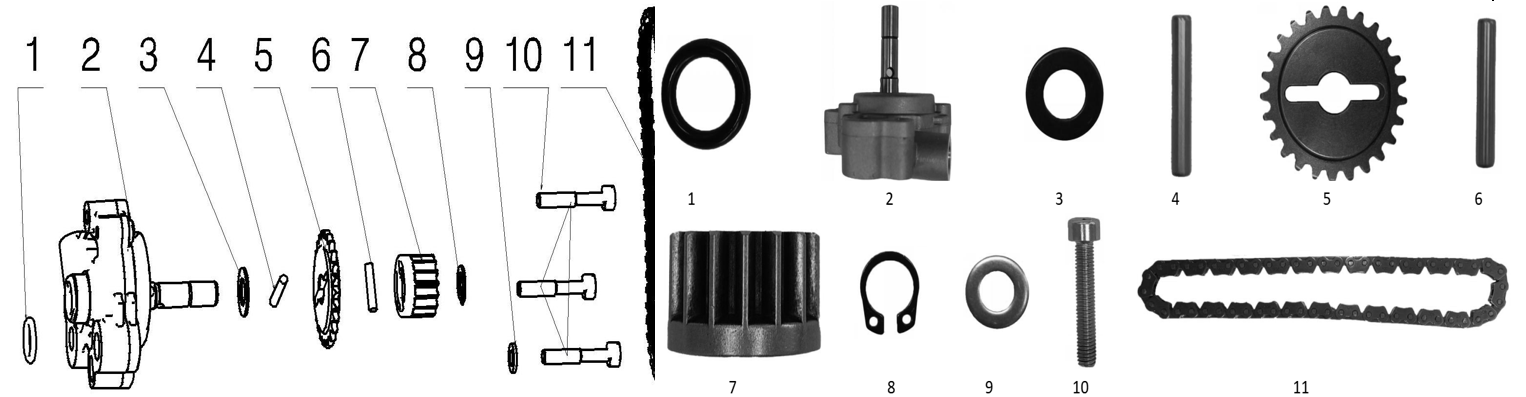 E11 OIL PUMP ASSEMBLY