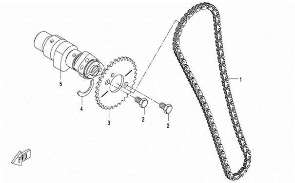 CAMSHAFT & TIMING CHAIN
