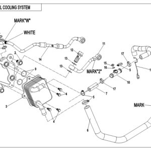 2019 CFORCE 800 XC OIL COOLING SYSTEM exploded diagram
