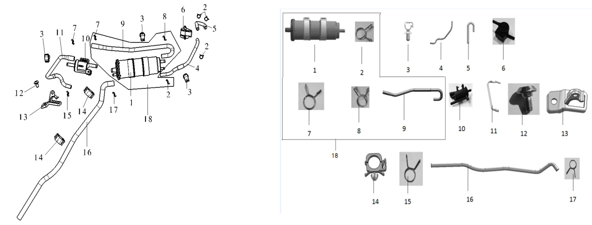 F31 FUEL EVAPORATION COMPONENTS