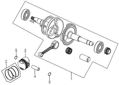 E13 - Crankshaft